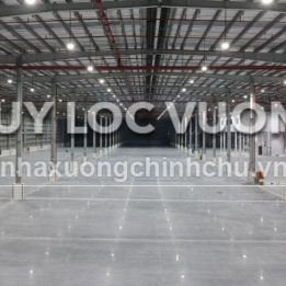 Ảnh đại diện