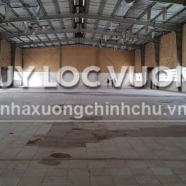 Ảnh đại diện