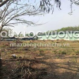 Ảnh đại diện