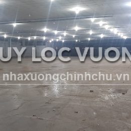 Ảnh đại diện