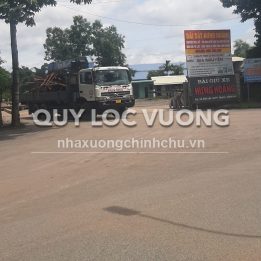 Ảnh đại diện