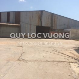 Ảnh đại diện