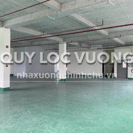 Ảnh đại diện