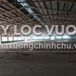 Ảnh đại diện
