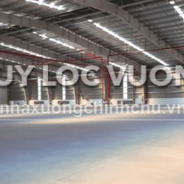 Ảnh đại diện