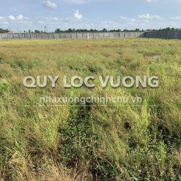 Ảnh đại diện