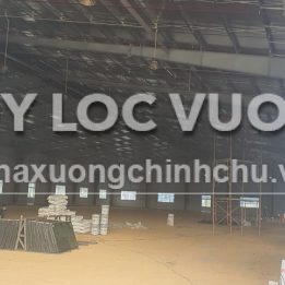 Ảnh đại diện