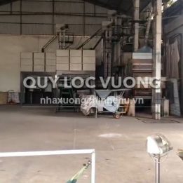 Ảnh đại diện