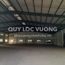 Ảnh đại diện