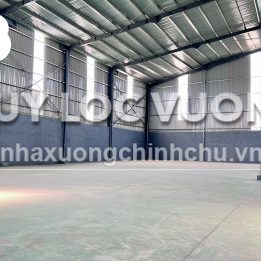 Ảnh đại diện