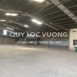 Ảnh đại diện