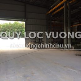 Ảnh đại diện