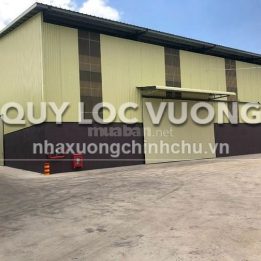 Ảnh đại diện