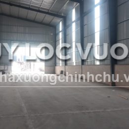 Ảnh đại diện