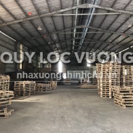 Ảnh đại diện
