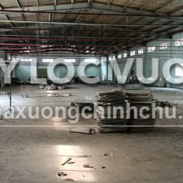 Ảnh đại diện