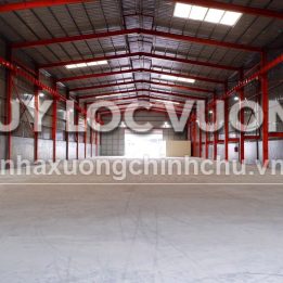 Ảnh đại diện
