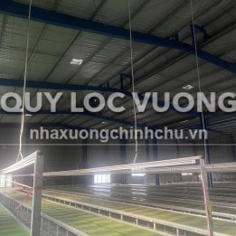 Ảnh đại diện