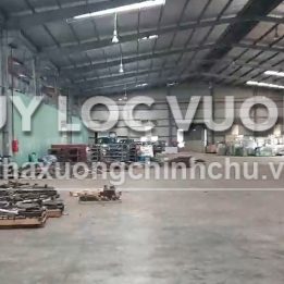 Ảnh đại diện