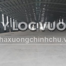 Ảnh đại diện