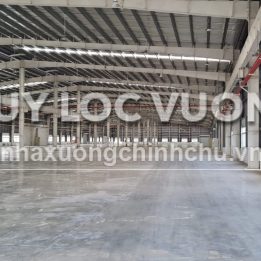 Ảnh đại diện