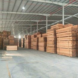 Ảnh đại diện