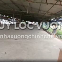 Ảnh đại diện