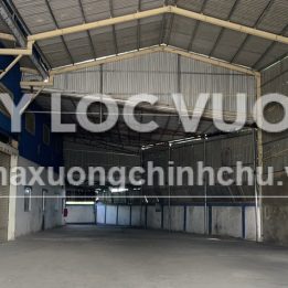 Ảnh đại diện