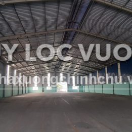 Ảnh đại diện