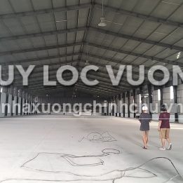 Ảnh đại diện