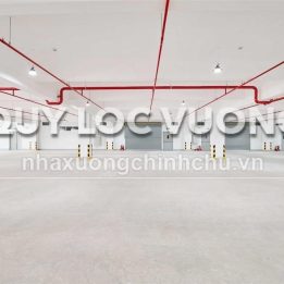 Ảnh đại diện