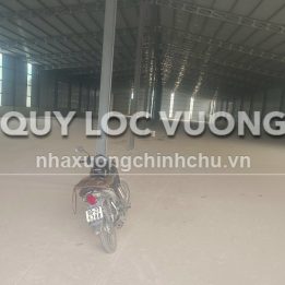 Ảnh đại diện