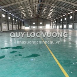 Ảnh đại diện