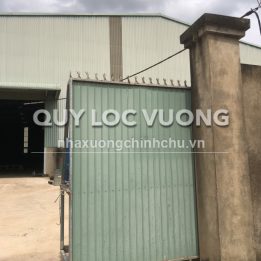 Ảnh đại diện