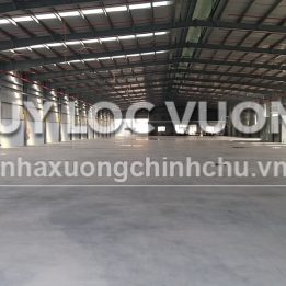 Ảnh đại diện