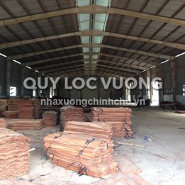 Ảnh đại diện