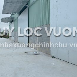 Ảnh đại diện