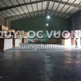 Ảnh đại diện