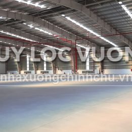 Ảnh đại diện