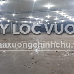 Ảnh đại diện