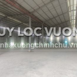 Ảnh đại diện