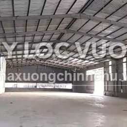 Ảnh đại diện