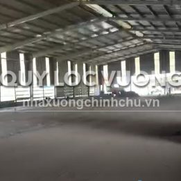 Ảnh đại diện