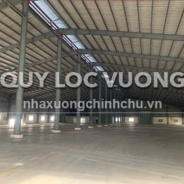 Ảnh đại diện