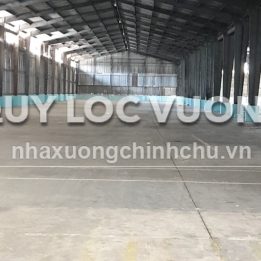 Ảnh đại diện