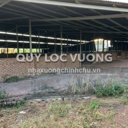 Ảnh đại diện