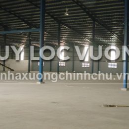Ảnh đại diện
