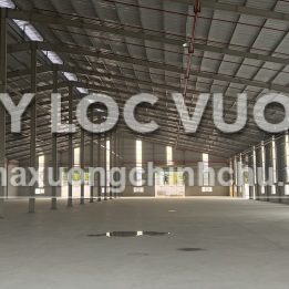 Ảnh đại diện