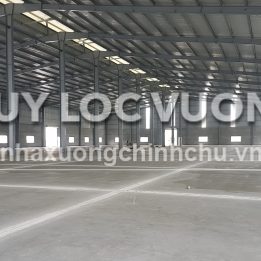Ảnh đại diện