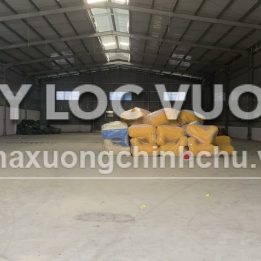 Ảnh đại diện